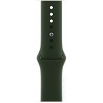 Apple Watch Series 6 LTE 44 мм (сталь золотистый/зеленый спортивный) (M09F3)