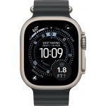 Apple Watch Ultra 3 LTE 49 мм (титановый корпус, природный/черный, ремешок из эластомера)